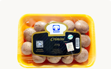 Productos 7 Frame 1000009507 6