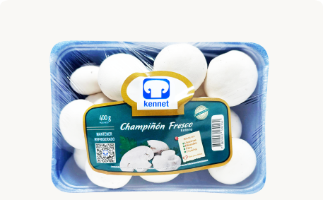 Productos 2 Frame 1000009507